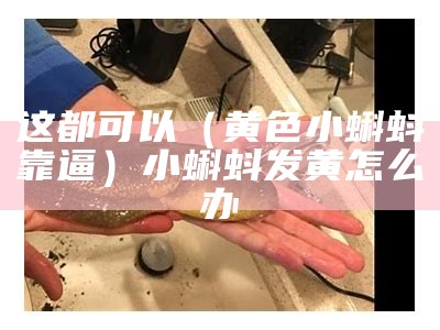 这都可以（黄色小蝌蚪靠逼）小蝌蚪发黄怎么办