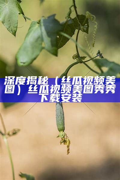 深度揭秘（丝瓜视频美图）丝瓜视频美图秀秀下载安装（丝瓜视频图文）