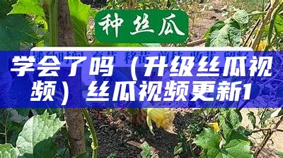 学会了吗（升级丝瓜视频）丝瓜视频更新1