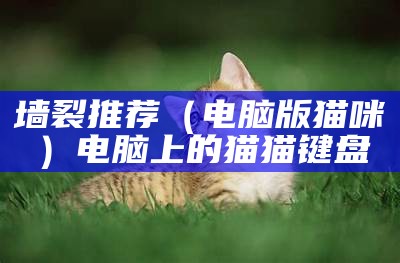 墙裂推荐（电脑版猫咪）电脑上的猫猫键盘（电脑猫咪键盘软件）