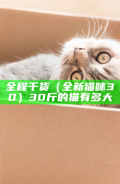 全程干货（全新猫咪30）30斤的猫有多大（30斤猫粮一只猫能吃多久）