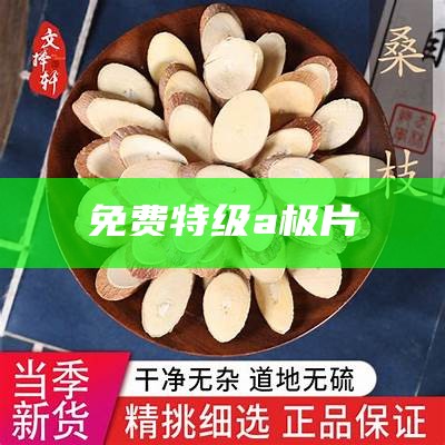 免费特级a极片