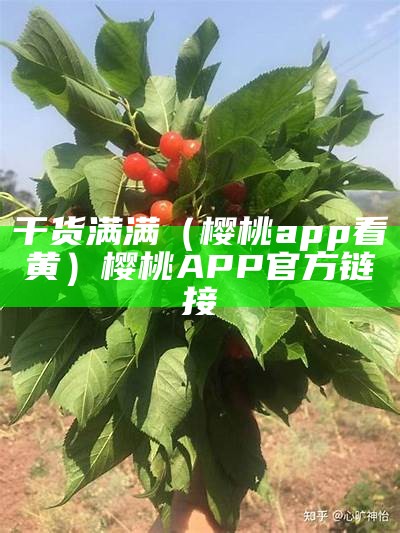 干货满满（樱桃app看黄）樱桃APP官方链接（aqq樱桃）