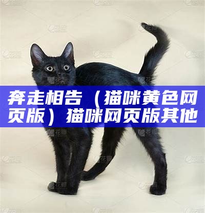 奔走相告（猫咪黄色网页版）猫咪网页版其他