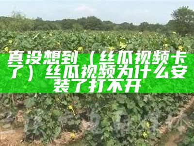 真没想到（丝瓜视频卡了）丝瓜视频为什么安装了打不开