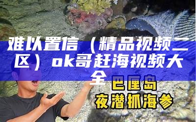 难以置信（精品视频二区）ok哥赶海视频大全