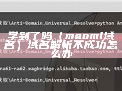 学到了吗（maomi域名）域名解析不成功怎么办（域名解析不生效怎么办）