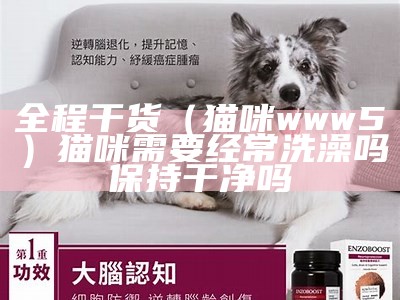 全程干货（猫咪www5）猫咪需要经常洗澡吗保持干净吗（猫咪到底用不用洗澡）