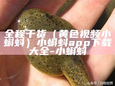 全程干货（黄色视频小蝌蚪）小蝌蚪app下载大全-小蝌蚪