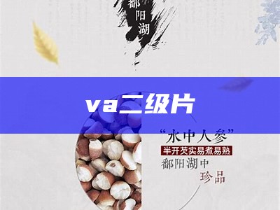 va二级片