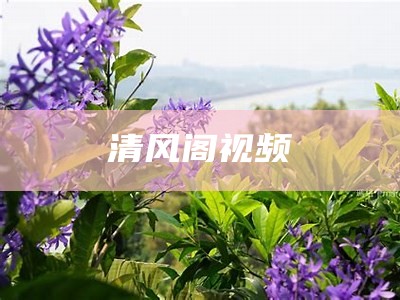 清风阁视频