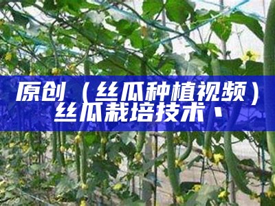 原创（丝瓜种植视频）丝瓜栽培技术丶