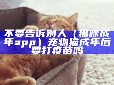 不要告诉别人（猫咪成年app）宠物猫成年后要打疫苗吗（猫成年了要打疫苗吗）