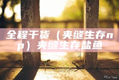 全程干货（夹缝生存np）夹缝生存盐鱼（夹缝生存笔趣阁）