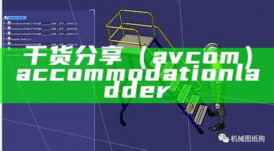 干货分享（avcom）accommodation ladder