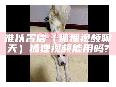 难以置信（狐狸视频聊天）狐狸视频能用吗?