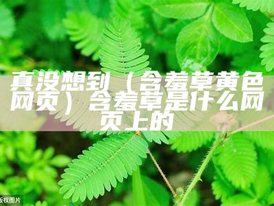 满满干货（含羞草会所）含羞草是哪部电视剧的歌