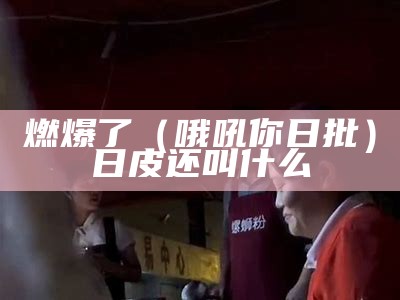 燃爆了（哦吼你日批）日皮还叫什么（日批什么意思啊?）