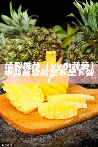 墙裂推荐（yy小菠萝）小菠萝贷款是不是下架了（小菠萝贷款app入口）