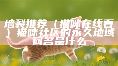 墙裂推荐（猫咪在线看）猫咪社区的永久地域网名是什么