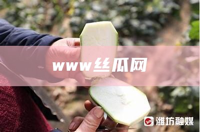 居然可以这样（丝瓜极简app）丝瓜.1.0