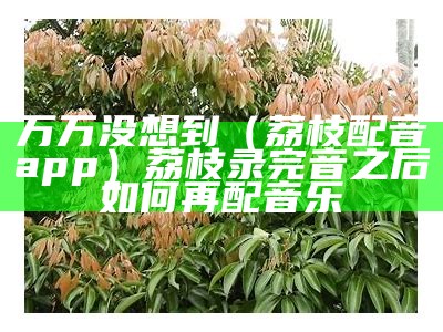 万万没想到（荔枝配音app）荔枝录完音之后如何再配音乐