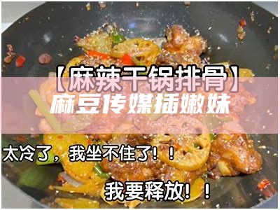 麻豆传媒插嫩妹