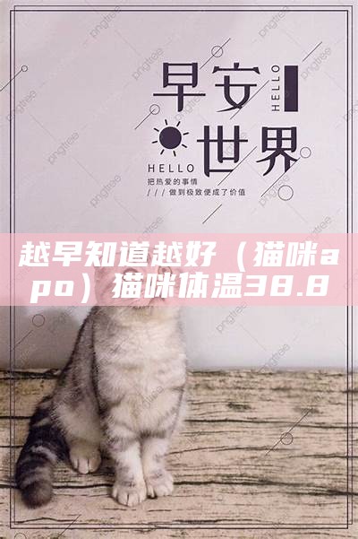 越早知道越好（猫咪apo）猫咪体温38.8（猫体温38.6正常吗）