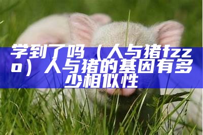 学到了吗（人与猪fzzo）人与猪的基因有多少相似性