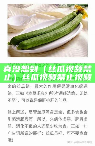 真没想到（丝瓜视频禁止）丝瓜视频禁止视频（丝瓜视频官方app不看不行）