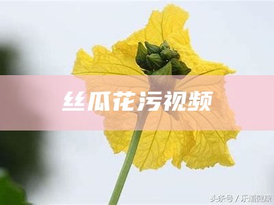 丝瓜花污视频