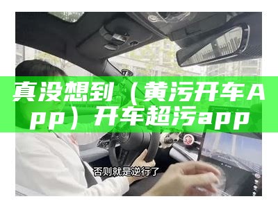 真没想到（黄污开车App）开车超污app