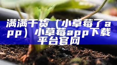 满满干货（小草莓了app）小草莓app下载平台官网（小草莓网站官方）