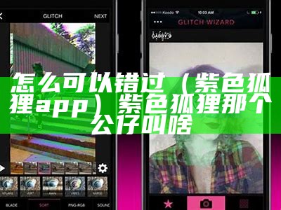 怎么可以错过（紫色狐狸app）紫色狐狸那个公仔叫啥