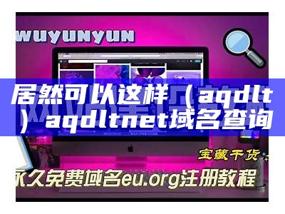 居然可以这样（aqdlt）aqdltnet域名查询