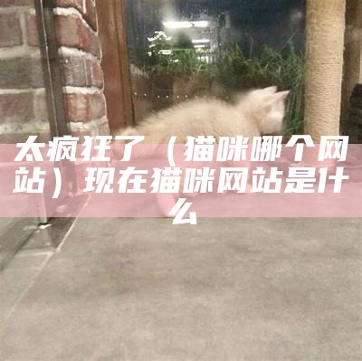 太疯狂了（猫咪哪个网站）现在猫咪网站是什么（哪位大哥知道猫咪网站）