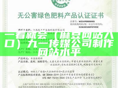 一看就会（麻豆网站入口）九一传媒公司制作网站水平