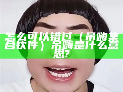 怎么可以错过（吊嗨集合钦件）吊嗨是什么意思?