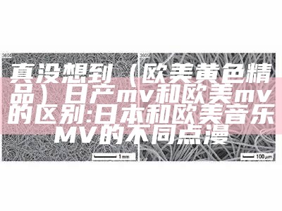 真没想到（欧美黄色精品）日产mv和欧美mv的区别:日本和欧美音乐MV的不同点漫