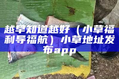 越早知道越好（小草福利导福航）小草地址发布app（小草网站台）