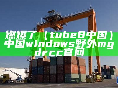 燃爆了（tube8中国）中国windows野外mgdrcc官网