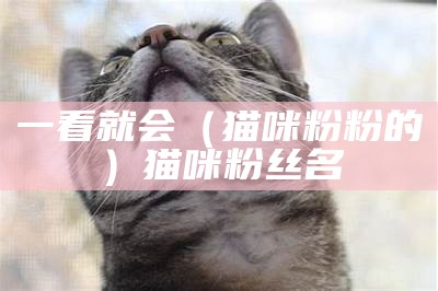 一看就会（猫咪粉粉的）猫咪粉丝名（猫粉是谁的粉丝）