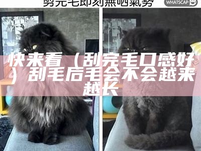 快来看（刮完毛 口感好）刮毛后毛会不会越来越长