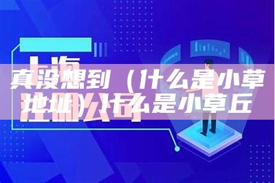 真没想到（什么是小草地址）什么是小草丘（小草丘是什么意思）