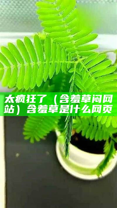 太疯狂了（含羞草闷网站）含羞草是什么网页（含羞草实网站直接进入欢迎您）