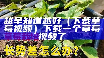 越早知道越好（下裁草莓视频）下载一个草莓视频了