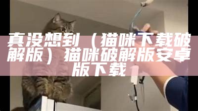 真没想到（猫咪下载破解版）猫咪破解版安卓版下载