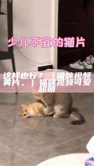 这样也行？（猫咪视频黄片。）猫咪视频可爱超萌