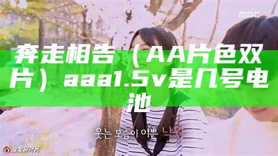 奔走相告（AA片色双片）aaa 1.5v是几号电池