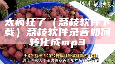 太疯狂了（荔枝软件下载）荔枝软件录音如何转化成mp3